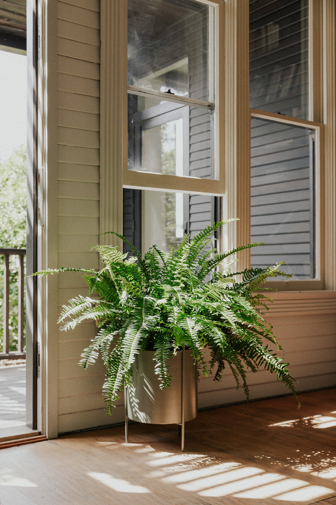 Large Green Botanic Plant Pot with Stand - featured