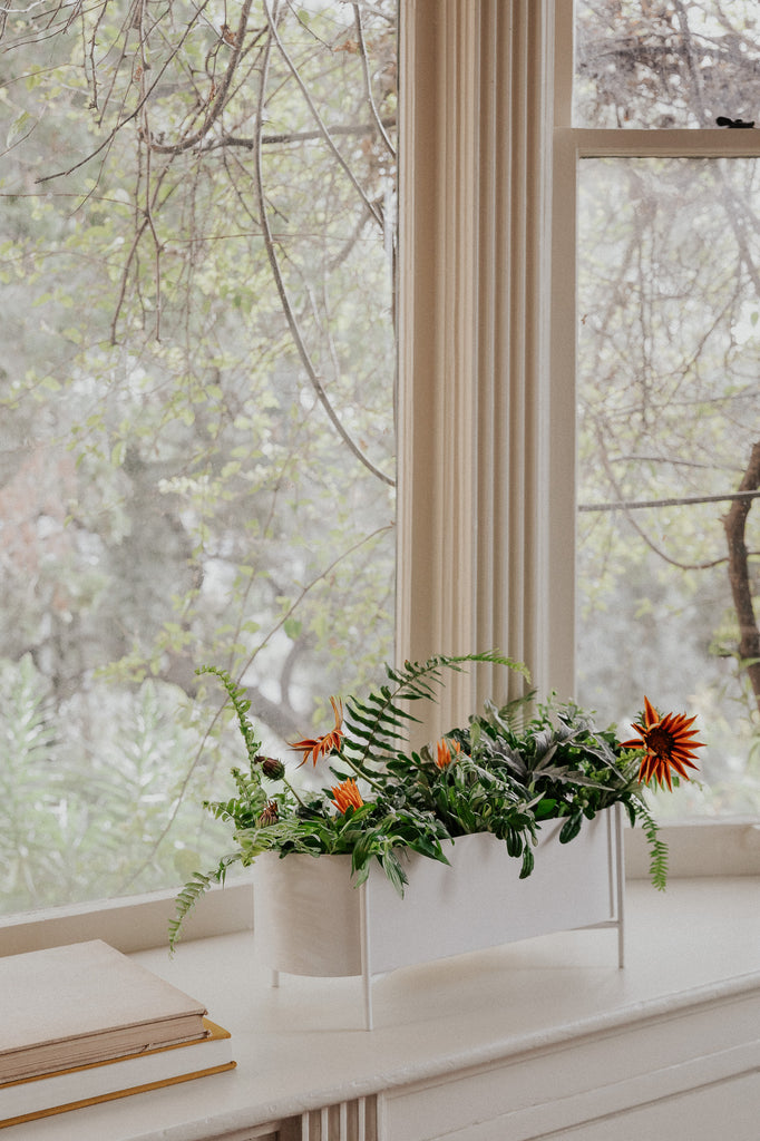 White Botanic Plant Box with Stand - featured