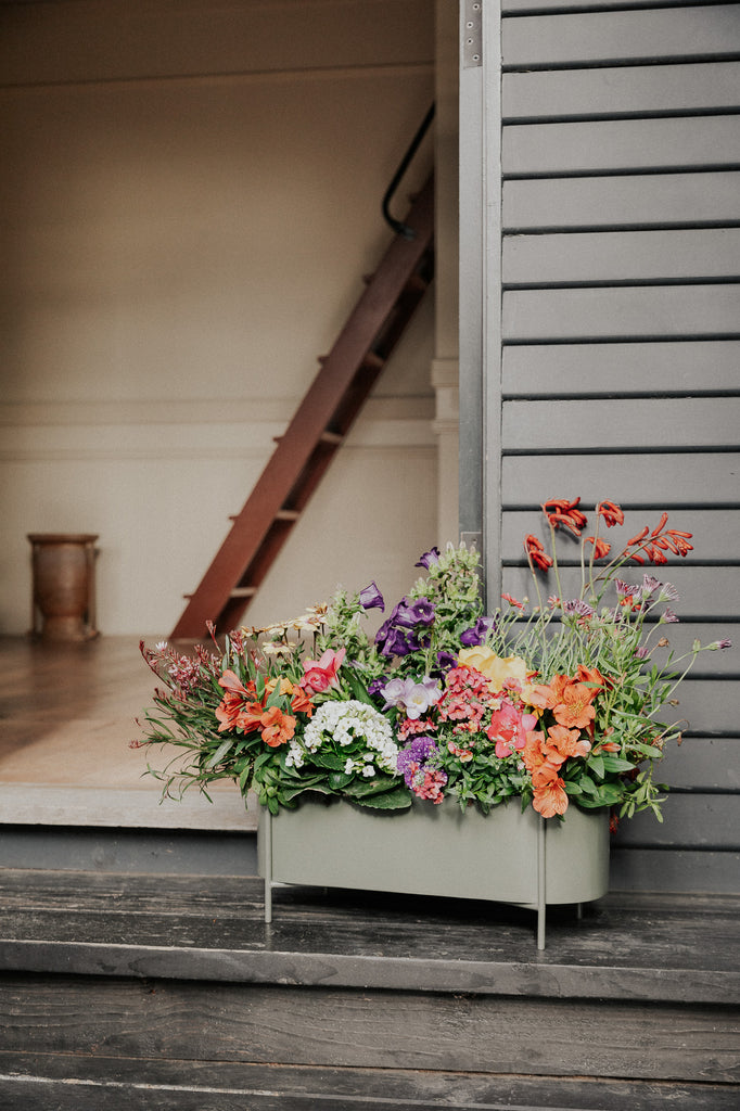 Green Botanic Plant Box with Stand - featured