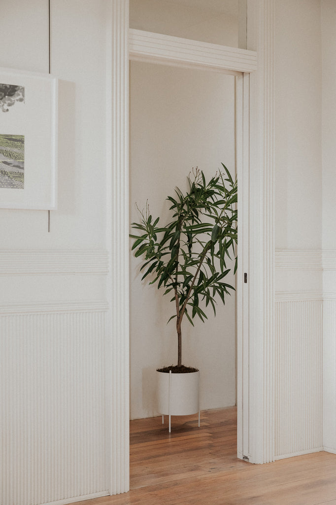 Large White Botanic Plant Pot with Stand - featured